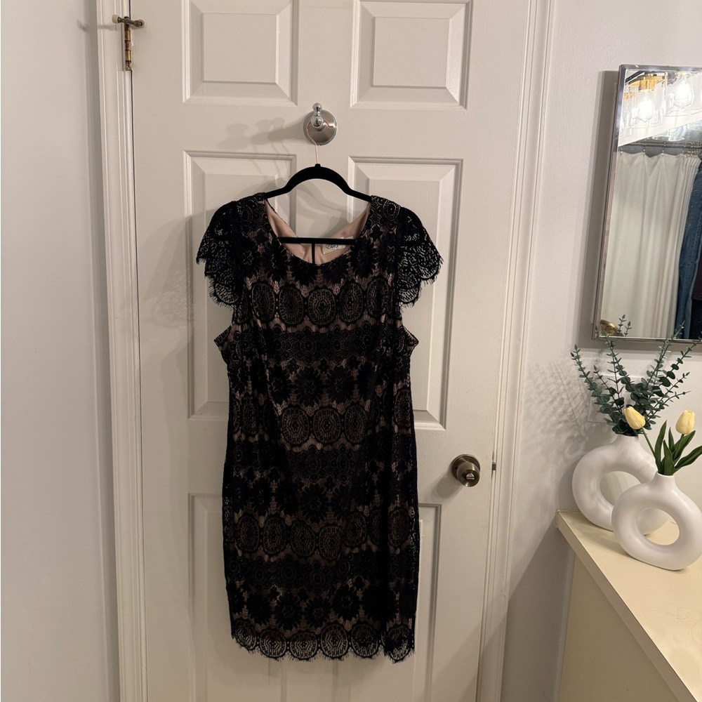 Eliza J Black and Tan Sheath Scalloped Dress